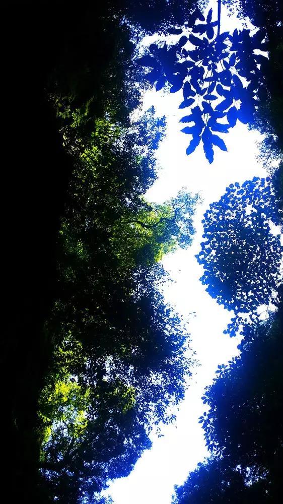 治违无假期 监管不断档