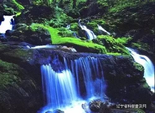 动物记忆大翻牌